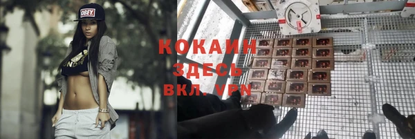 твердый Аркадак