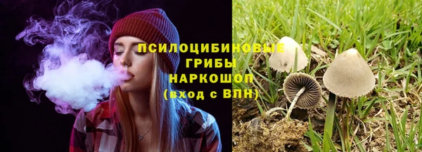 ALPHA PVP Арсеньев