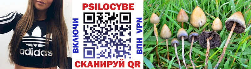 как найти   Волосово  Галлюциногенные грибы MAGIC MUSHROOMS 